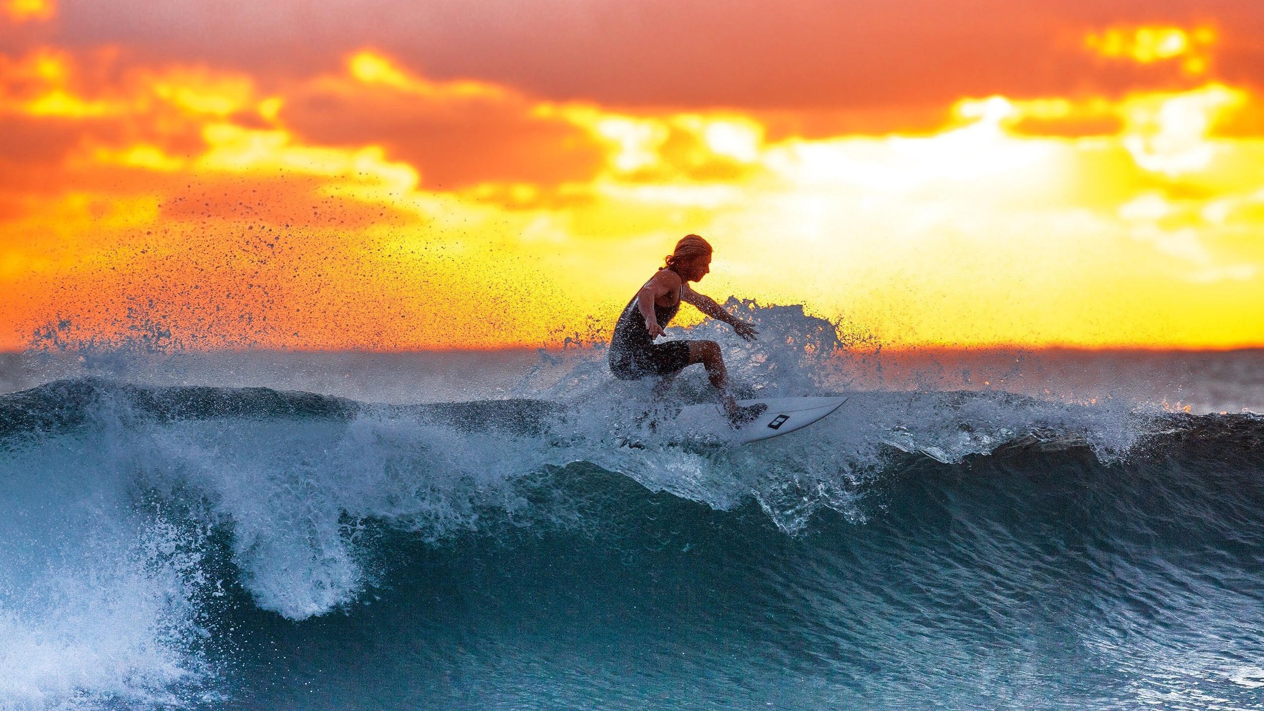 体育与电竞双重震荡，费德勒新规破纪录，FPX争议不断